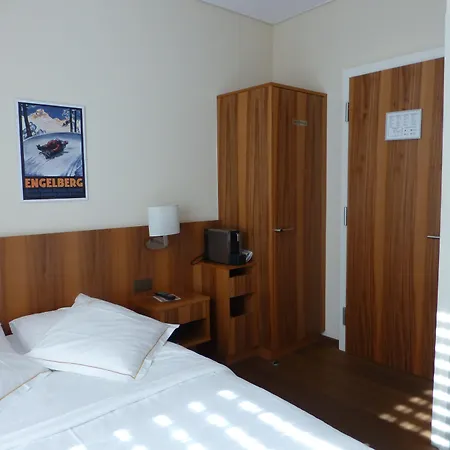 大使酒店 布里格