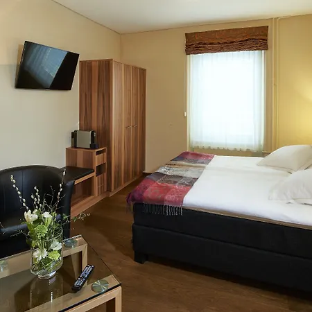 大使酒店 4* 布里格