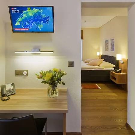 大使酒店 4* 布里格