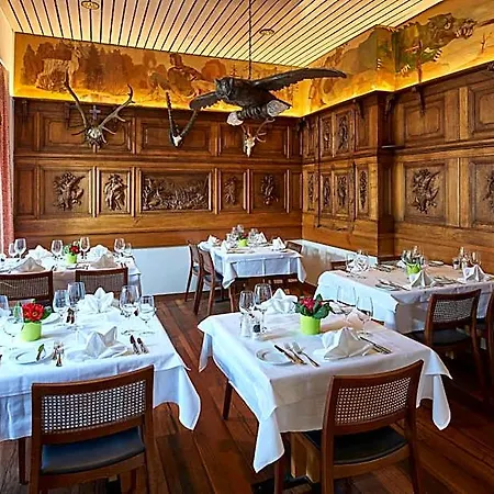 Hotel Ambassador Brig