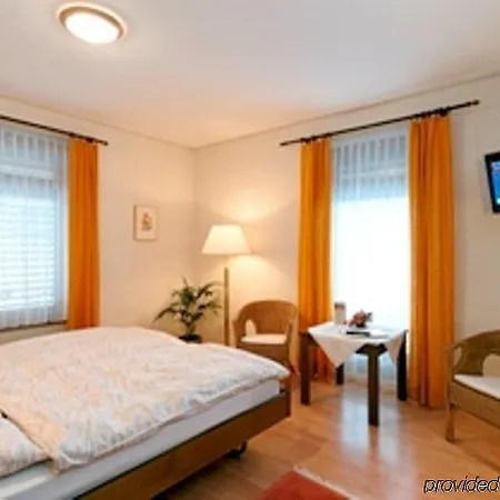 大使酒店 4* 布里格