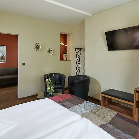 Hotel Ambassador Briga