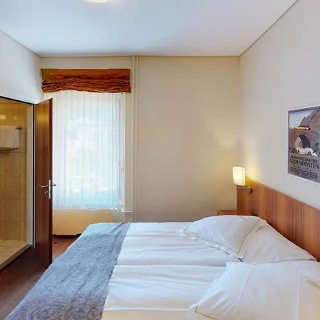Hotel Ambassador Brig